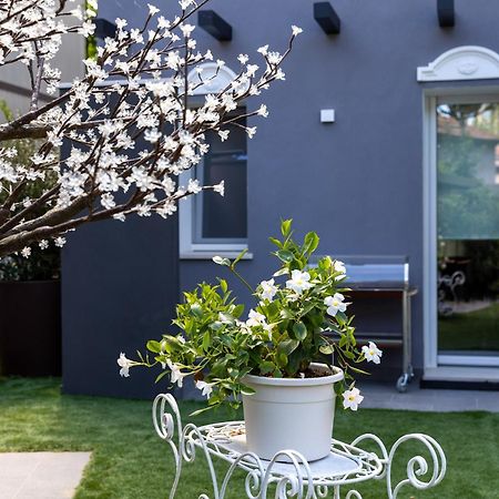 Villa Monti Suites&Aparts 切塞纳蒂科 外观 照片